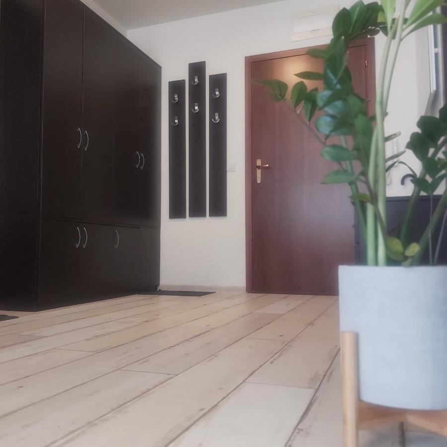 Saint Nicholas Varna Lovely 2 Bedroom Apartment With Sunny Garden מראה חיצוני תמונה