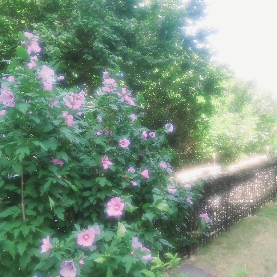 Saint Nicholas Varna Lovely 2 Bedroom Apartment With Sunny Garden מראה חיצוני תמונה
